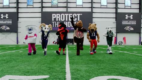 The search for the face of the Ravens: Mascot tryouts seek the ultimate representative